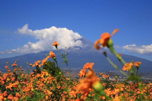 Les quatre destinations après la mort pour les Mexicas