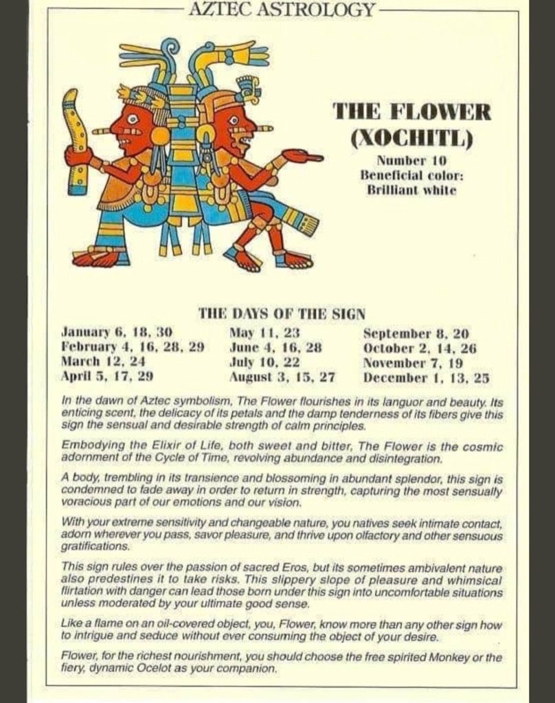 Aztec Astrology sign Xochitl the Flower