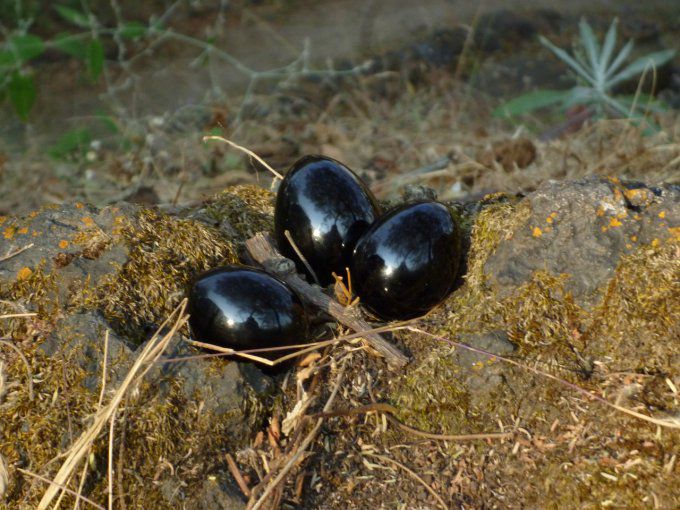 Oeuf Yoni obsidienne du MExique, Yoni egg obsidian MExico Oeuf en pierre - méditation, relaxation, m