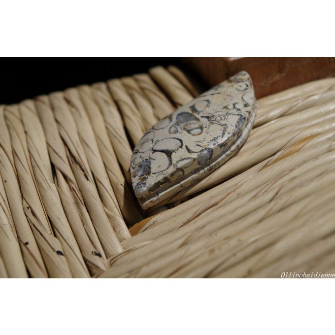 pierre fossile Mexique cabochon rainuré confection bijou pendentif lithothérapie